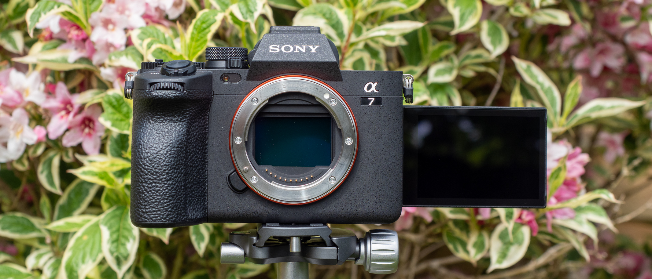 The a7v sony Brings Pro-Level Performance to Creators